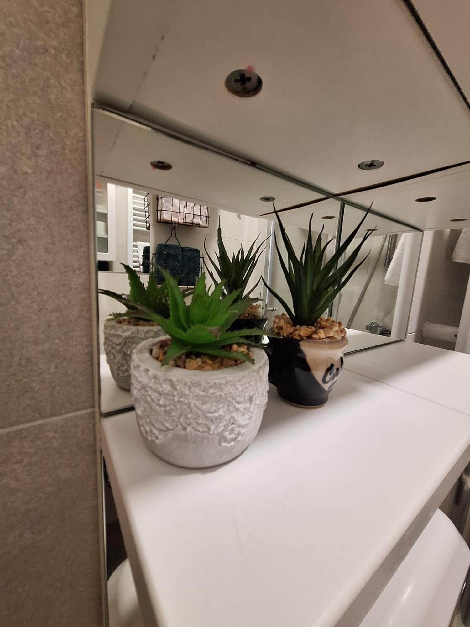 Studio Apartmani Louis I Lola 萨格勒布 外观 照片