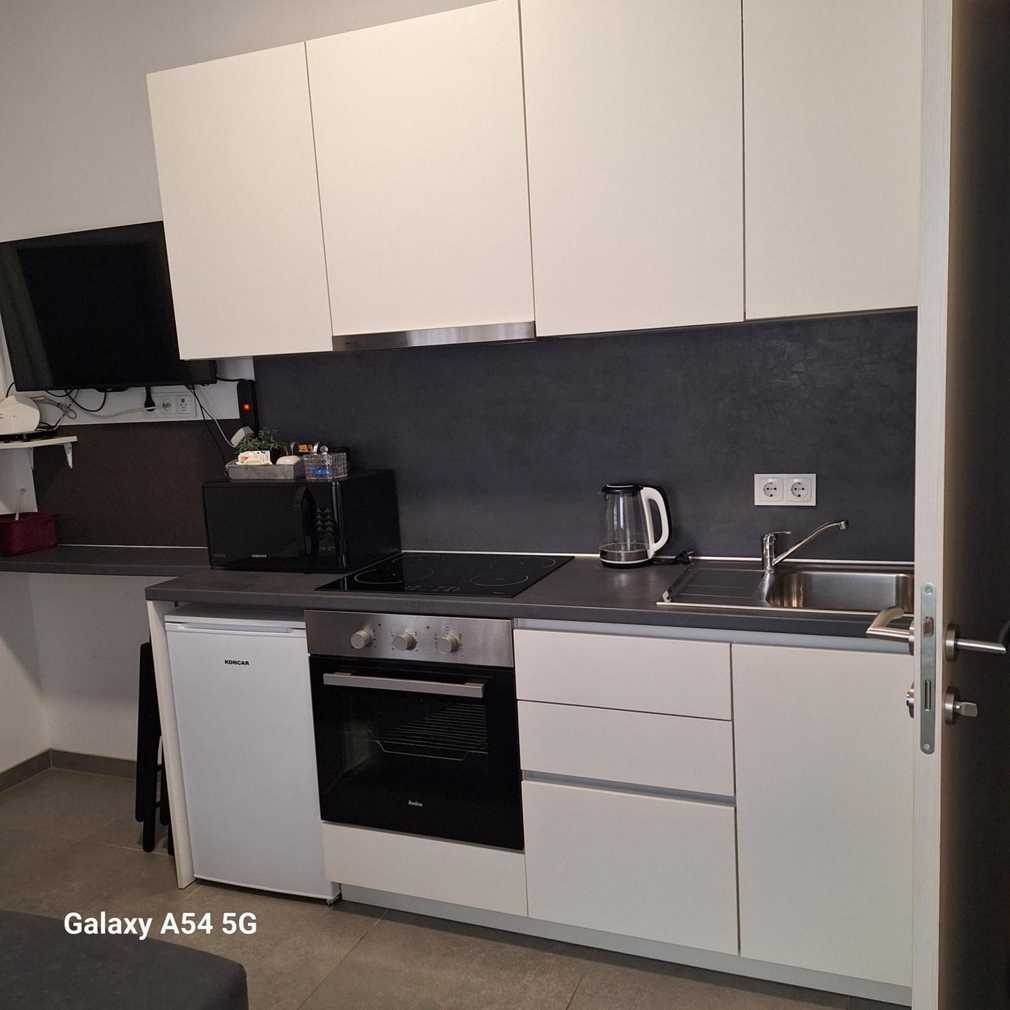 Studio Apartmani Louis I Lola 萨格勒布 外观 照片